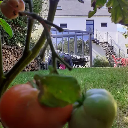 Chez Hortense 56 Bed & Breakfast Sarzeau